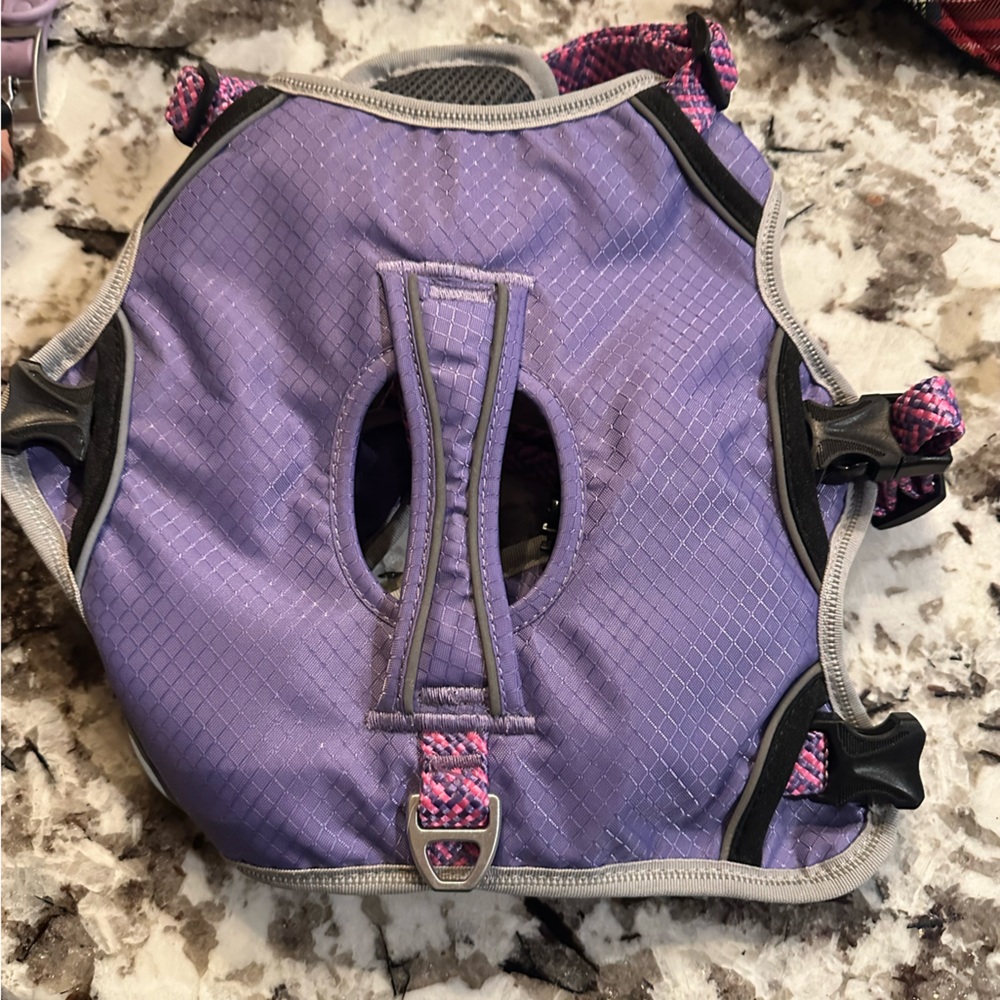Arcadia Trail Dog Harness in Size Small!